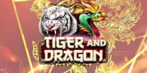 Game Rồng Hổ - Luật chơi mới nhất 2024